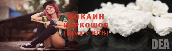 стафф Алзамай