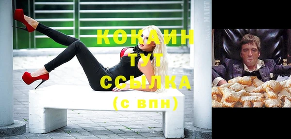 стафф Алзамай