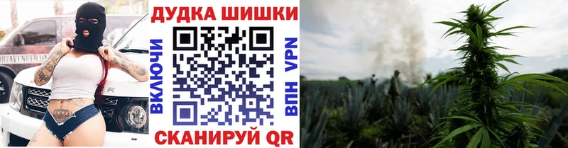купить закладку  Калач-на-Дону  Бошки Шишки Amnesia 